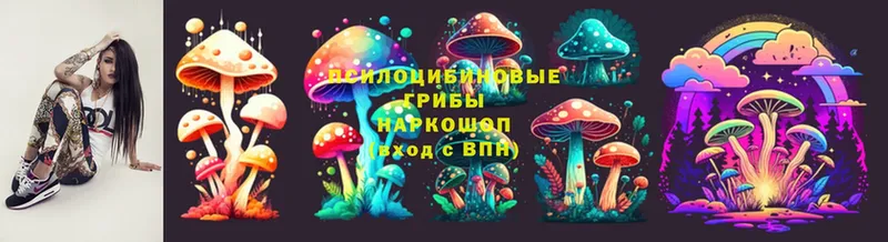 Псилоцибиновые грибы Magic Shrooms  где продают   Новоаннинский 